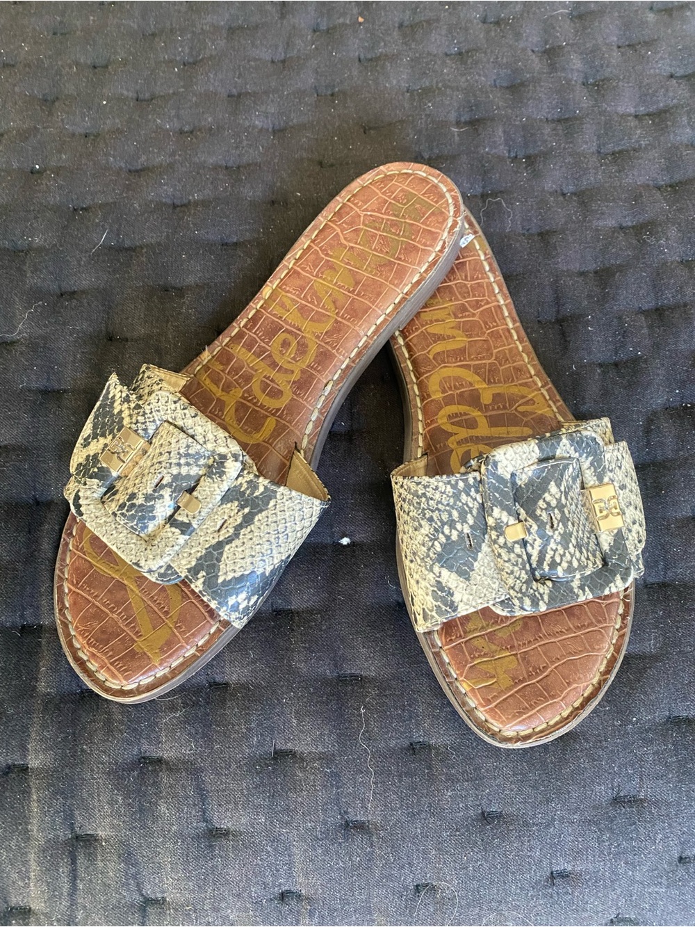 Sam Edelman Snake Print Slide Sandals in Black and Cream